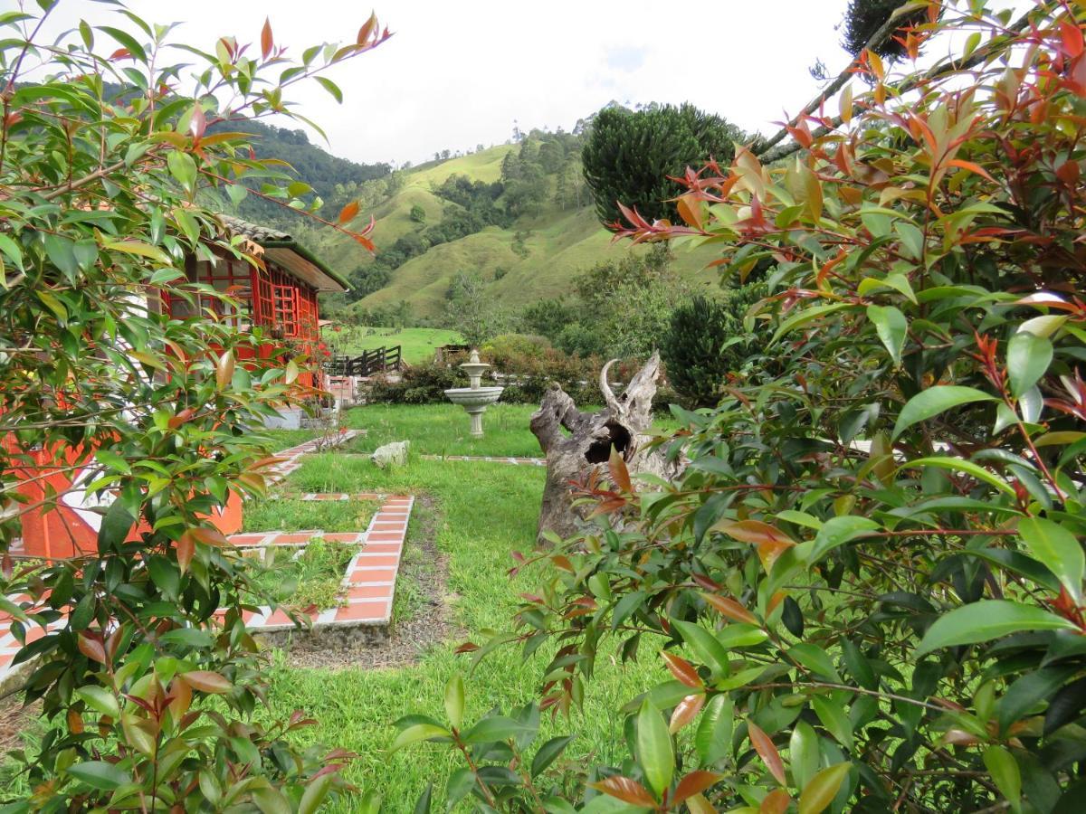 Ecohotel Pinohermoso Reserva Natural Саленто Екстериор снимка