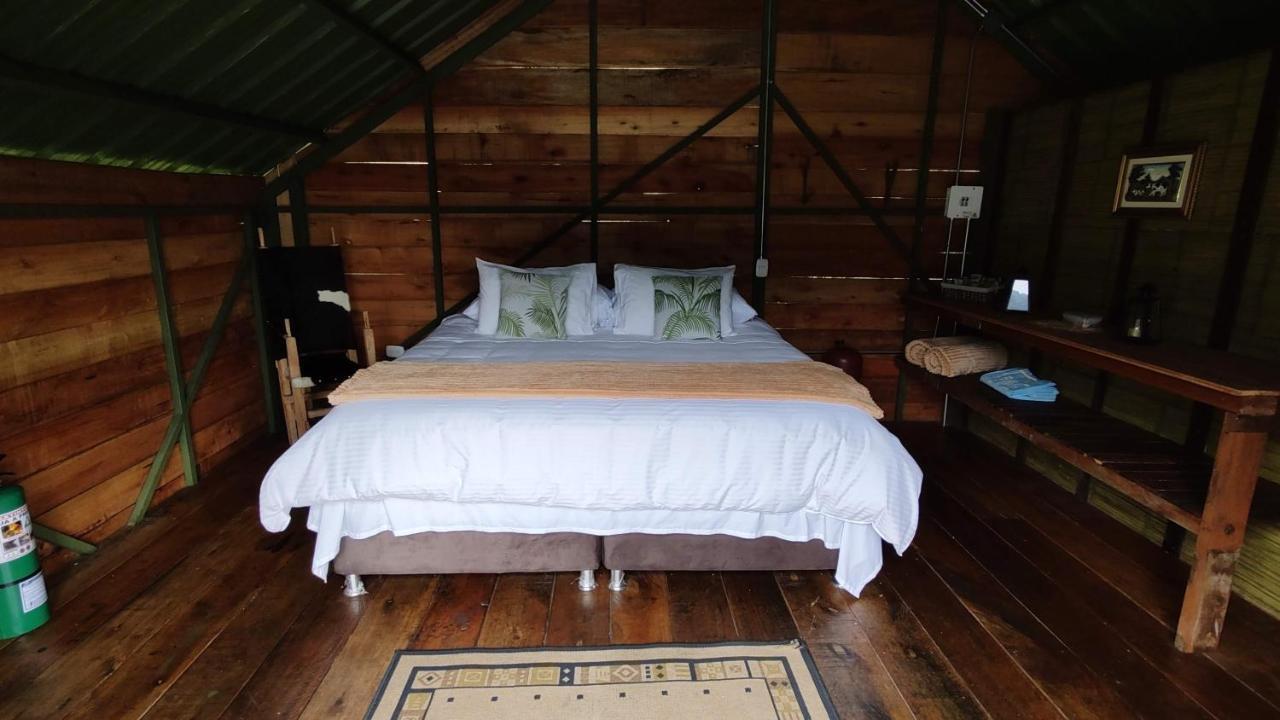 Ecohotel Pinohermoso Reserva Natural Саленто Екстериор снимка