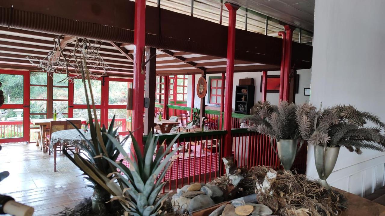 Ecohotel Pinohermoso Reserva Natural Саленто Екстериор снимка