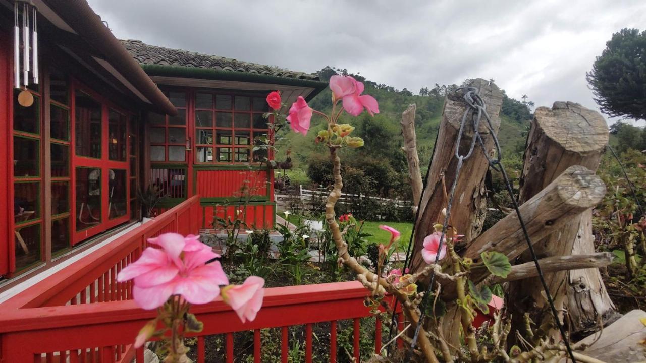 Ecohotel Pinohermoso Reserva Natural Саленто Екстериор снимка