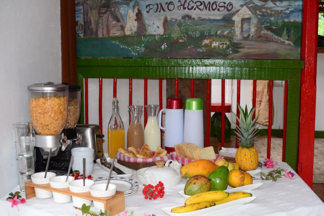 Ecohotel Pinohermoso Reserva Natural Саленто Екстериор снимка