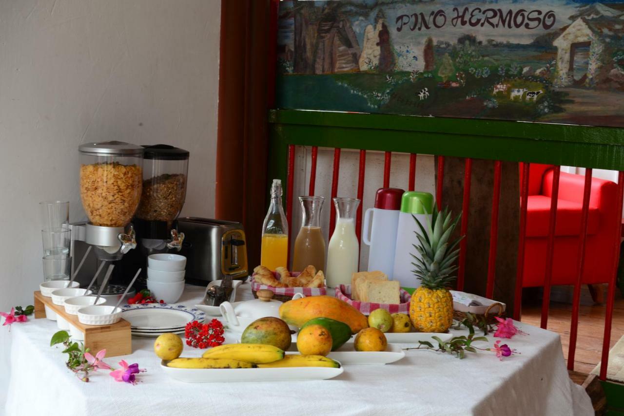 Ecohotel Pinohermoso Reserva Natural Саленто Екстериор снимка