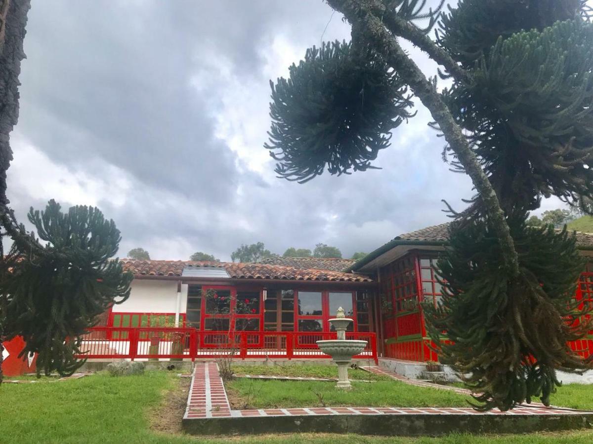 Ecohotel Pinohermoso Reserva Natural Саленто Екстериор снимка