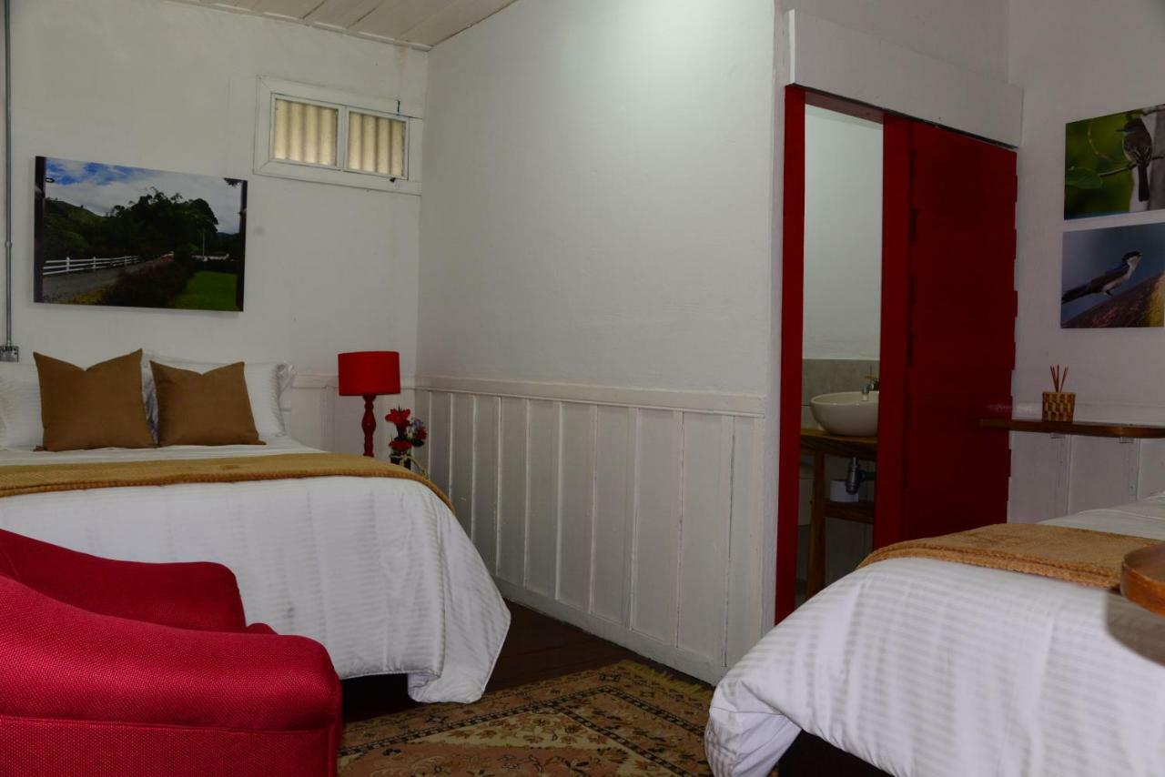 Ecohotel Pinohermoso Reserva Natural Саленто Екстериор снимка